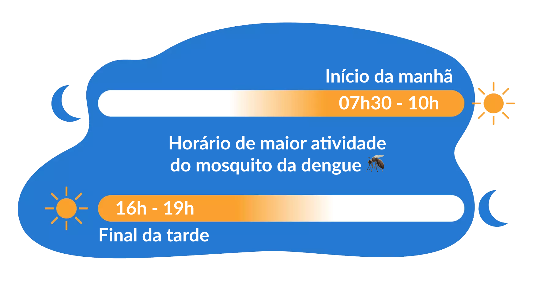 Ilustração mostrando que o “Início da manhã” e o “Final da tarde” são os horários de maior atividade dos mosquitos.
